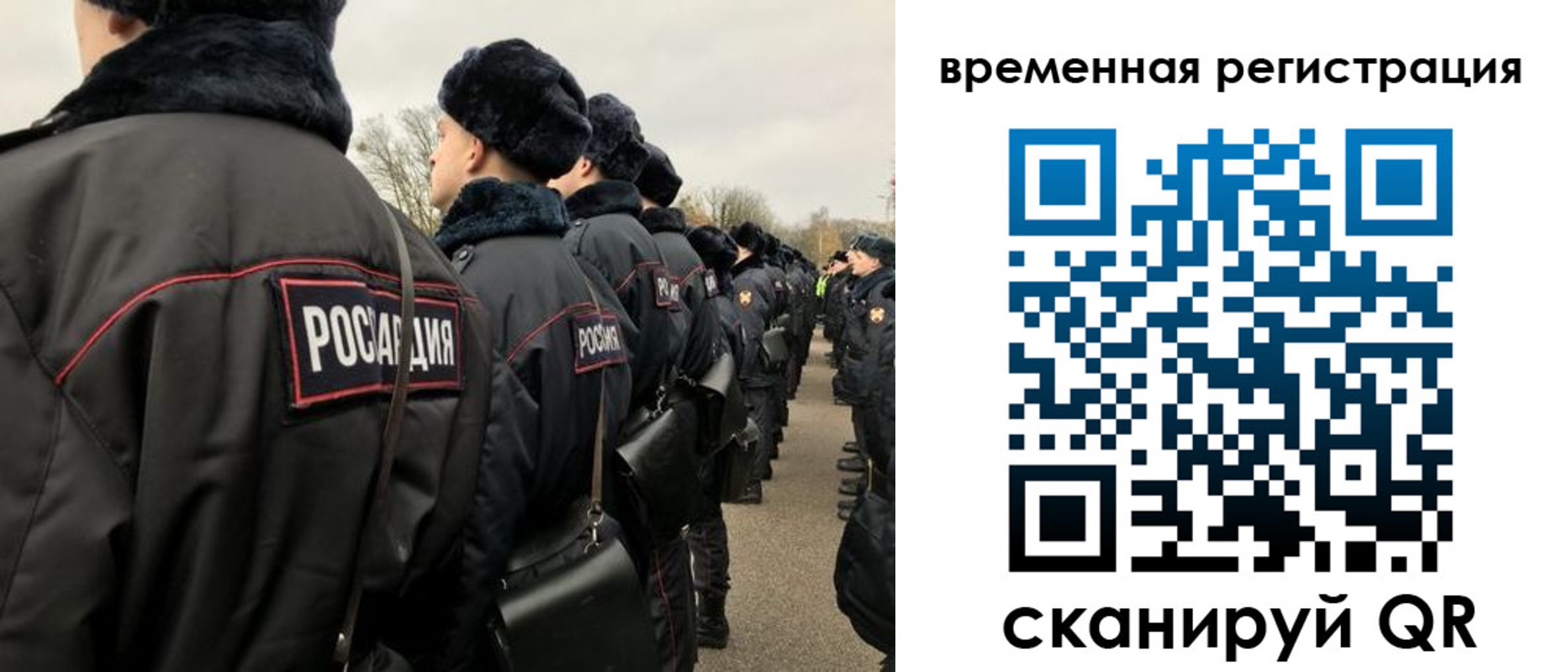 прописка гарантия в Фрязино